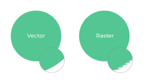 Raster vs Vector Comparison